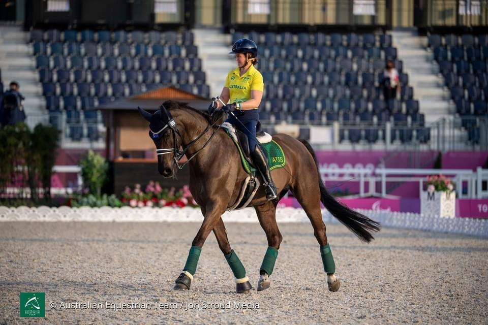 Explore the possibilities of ParaEquestrian at a special event at